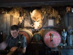 Universal Beverage The Drink That Connects Us All